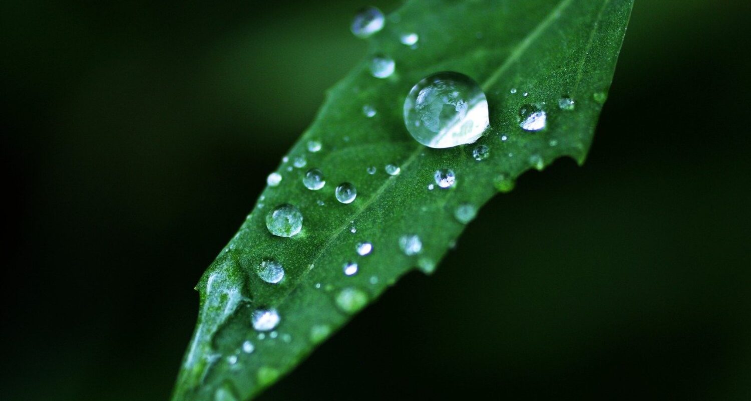Installer_un_système_de_récupération_d_eau_de_pluie_:_Avantages_et_étapes_clés_pour_votre_maison