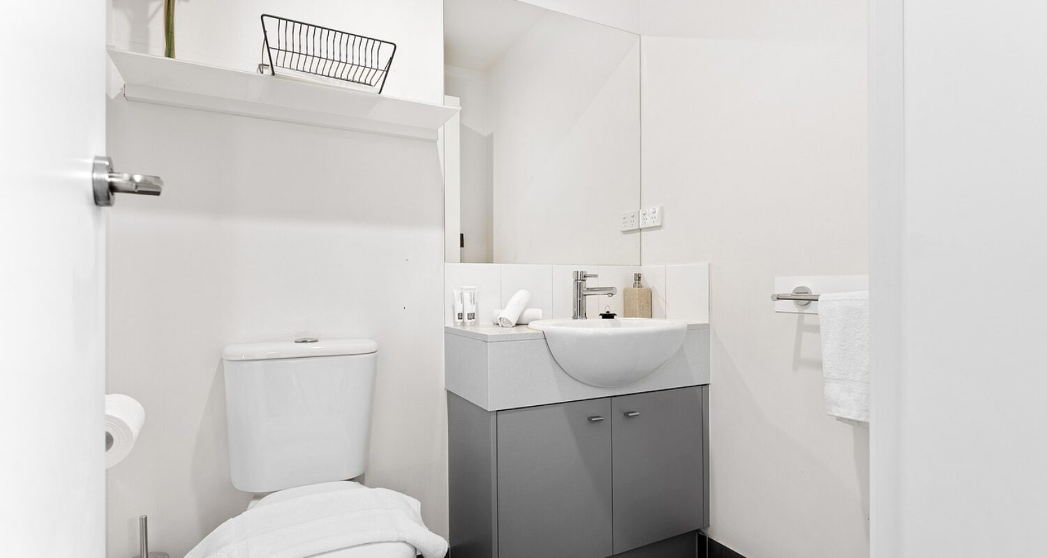 Les_avantages_écologiques_et_économiques_des_toilettes_à_faible_débit